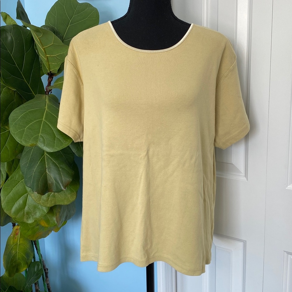 J.Jill 2X Light Soft Green Shortsleeve Shirt